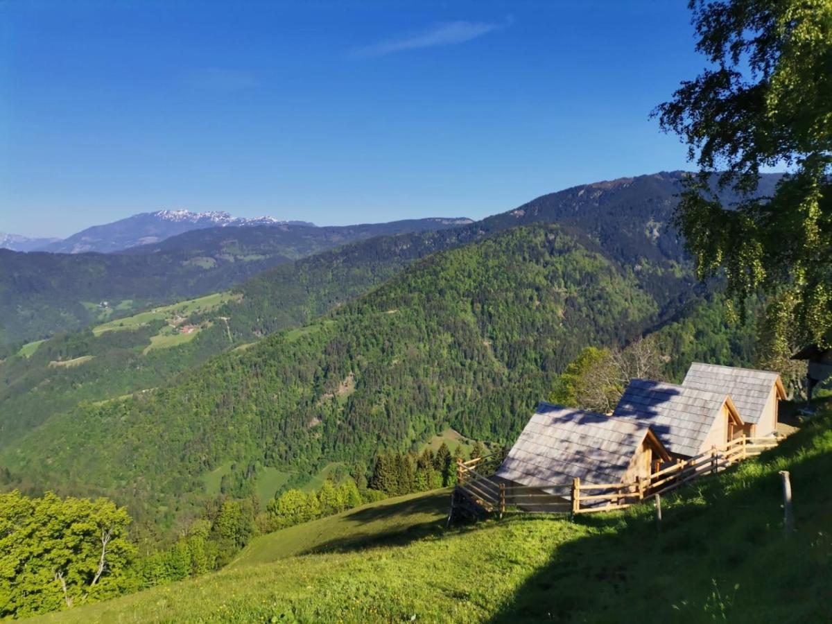 Farmstay&Glamping Visocnik Ljubno Exterior photo
