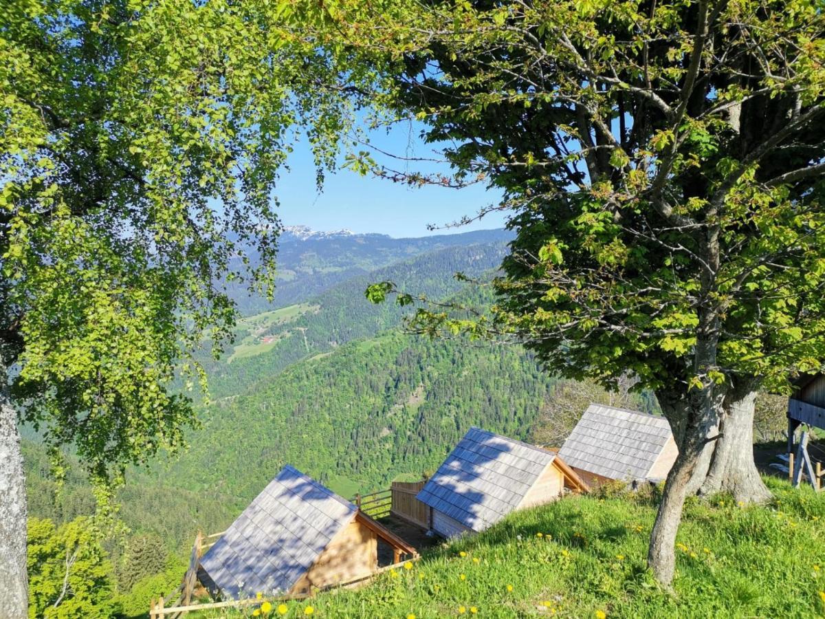 Farmstay&Glamping Visocnik Ljubno Exterior photo
