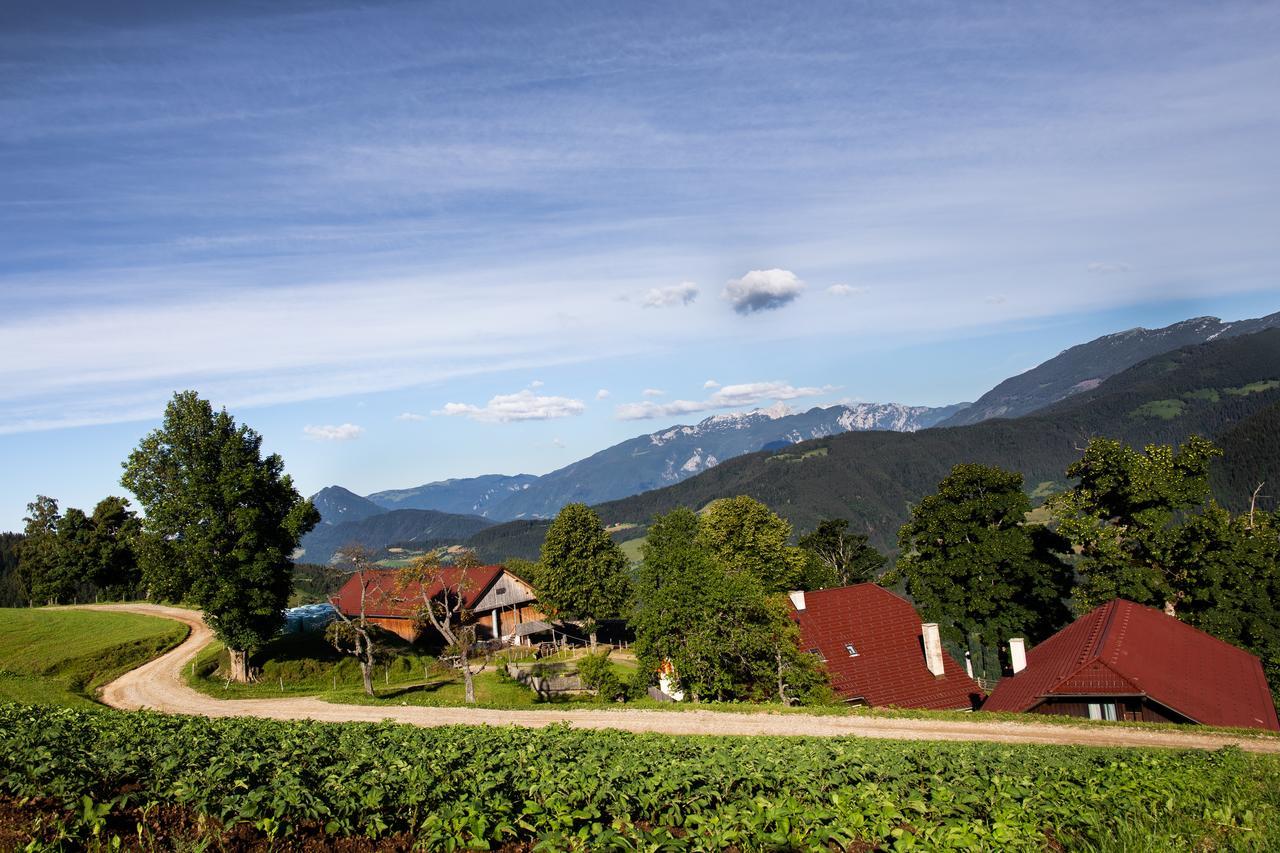 Farmstay&Glamping Visocnik Ljubno Exterior photo