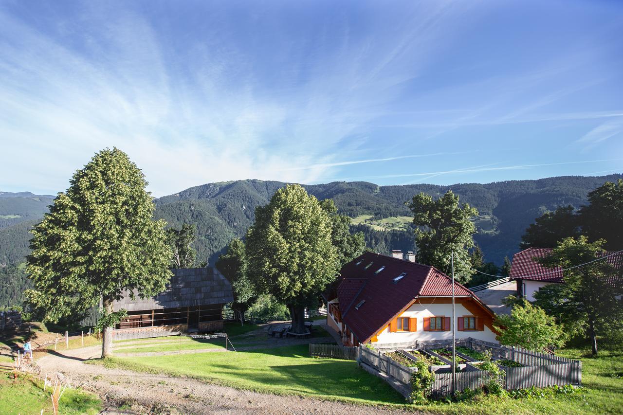 Farmstay&Glamping Visocnik Ljubno Exterior photo