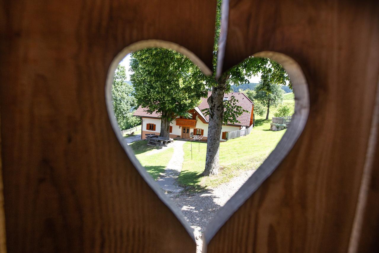Farmstay&Glamping Visocnik Ljubno Exterior photo
