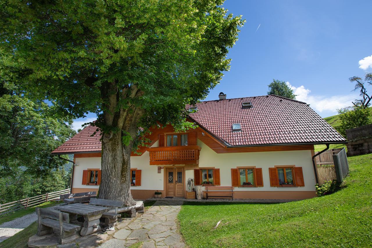 Farmstay&Glamping Visocnik Ljubno Exterior photo