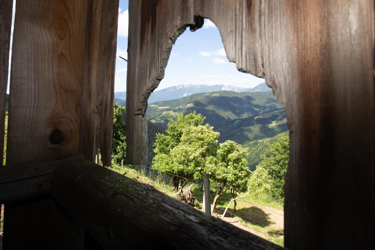 Farmstay&Glamping Visocnik Ljubno Exterior photo