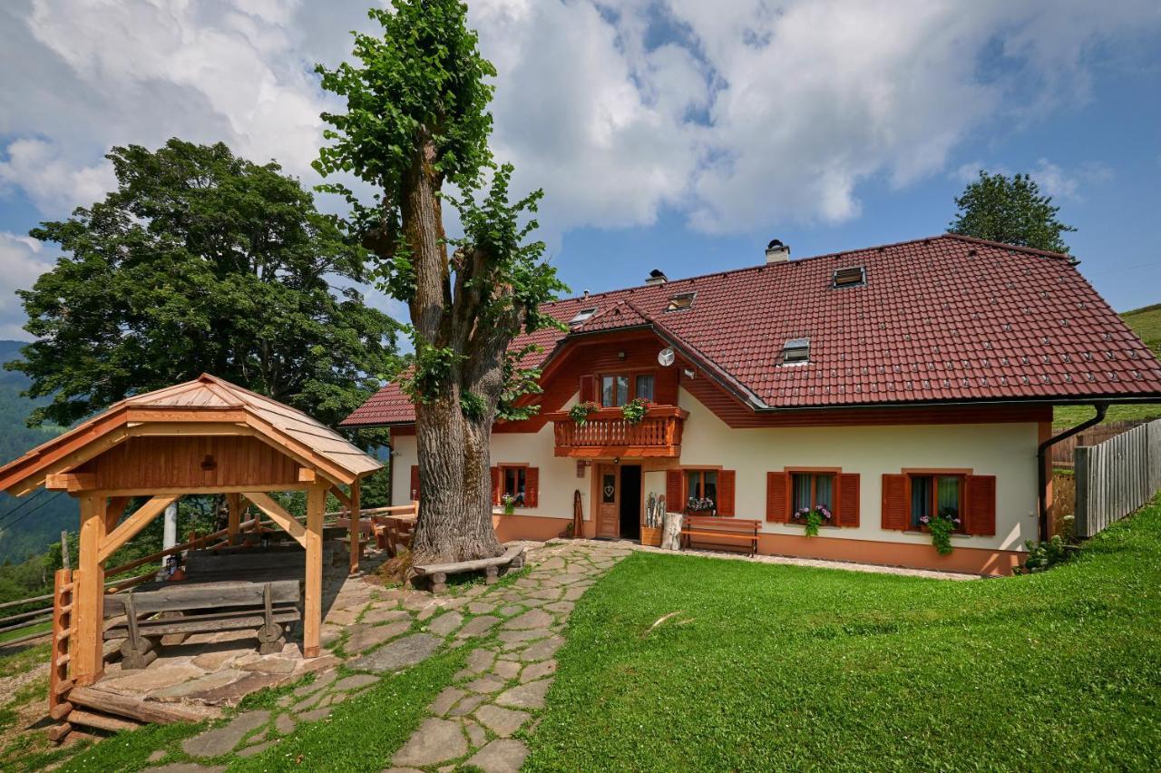 Farmstay&Glamping Visocnik Ljubno Exterior photo