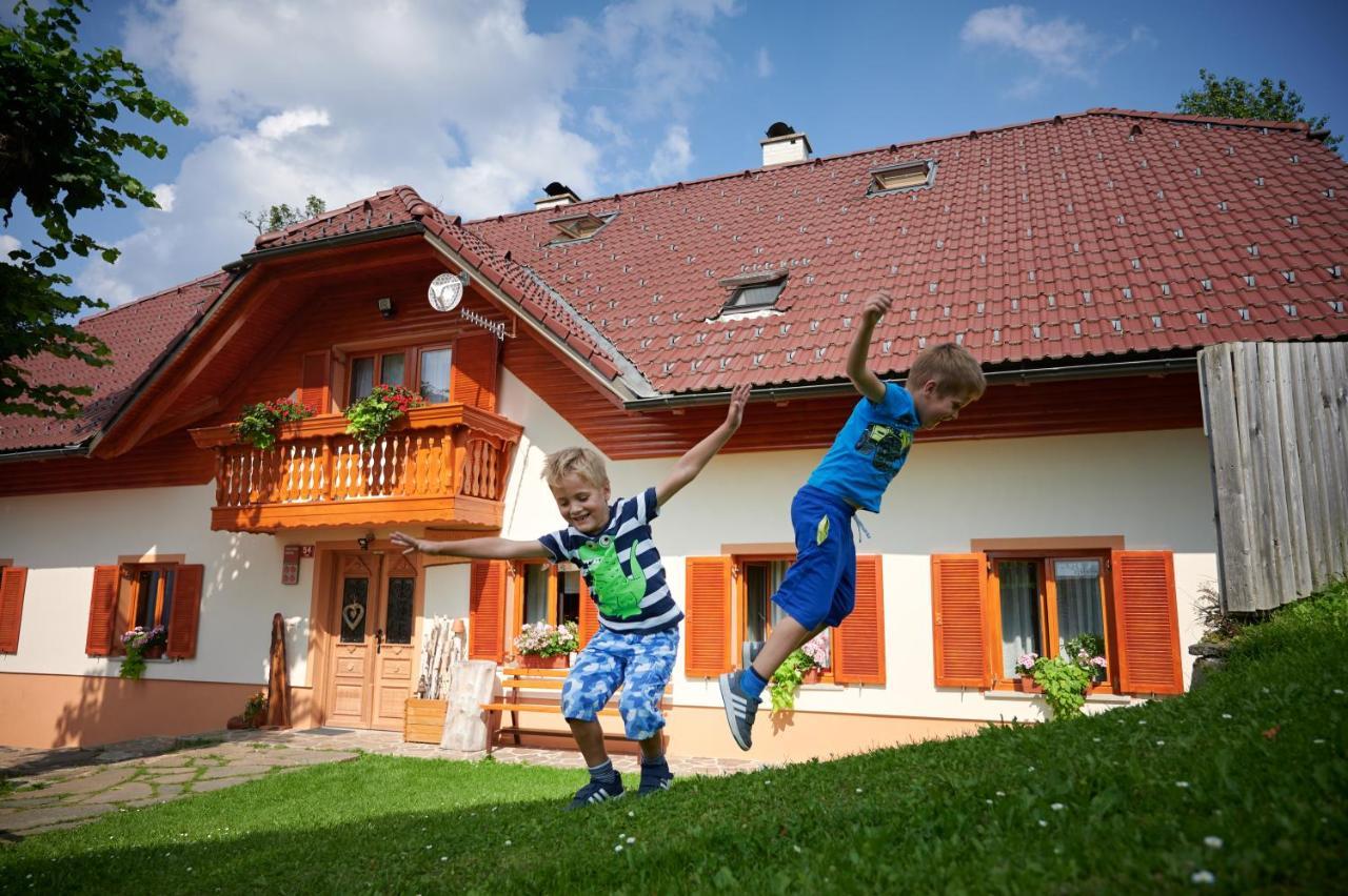 Farmstay&Glamping Visocnik Ljubno Exterior photo