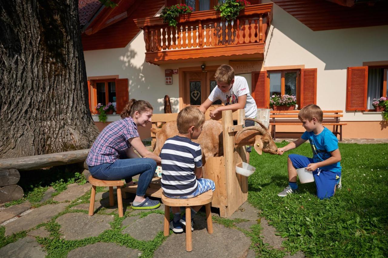 Farmstay&Glamping Visocnik Ljubno Exterior photo